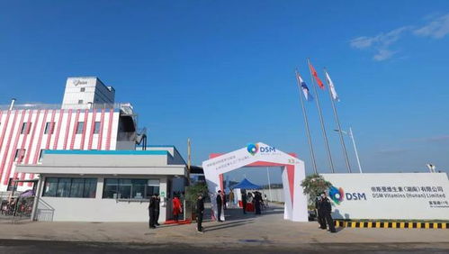 帝斯曼動(dòng)物營養(yǎng)與保健衡陽布局，加速大中華區(qū)預(yù)混料市場拓展